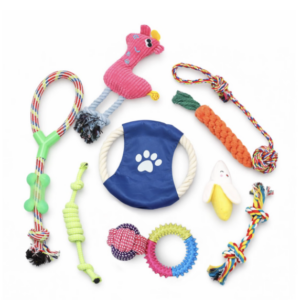 10 Piece Dog Toy Set for Puppy Play and Teeth Cleaning