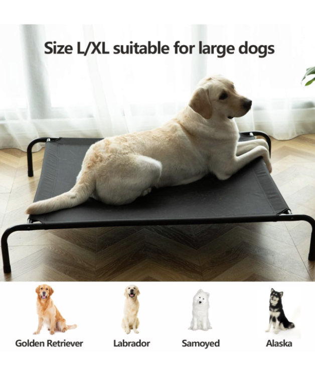 Elevated Bed for All Pets - Image 4