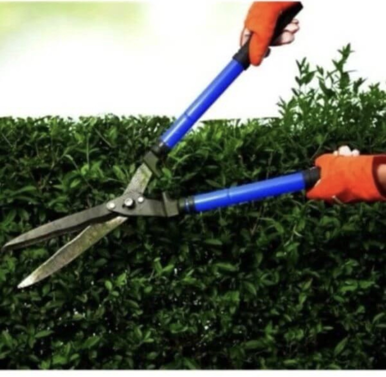 Adjustable Long Handle Garden Scissor - Image 2